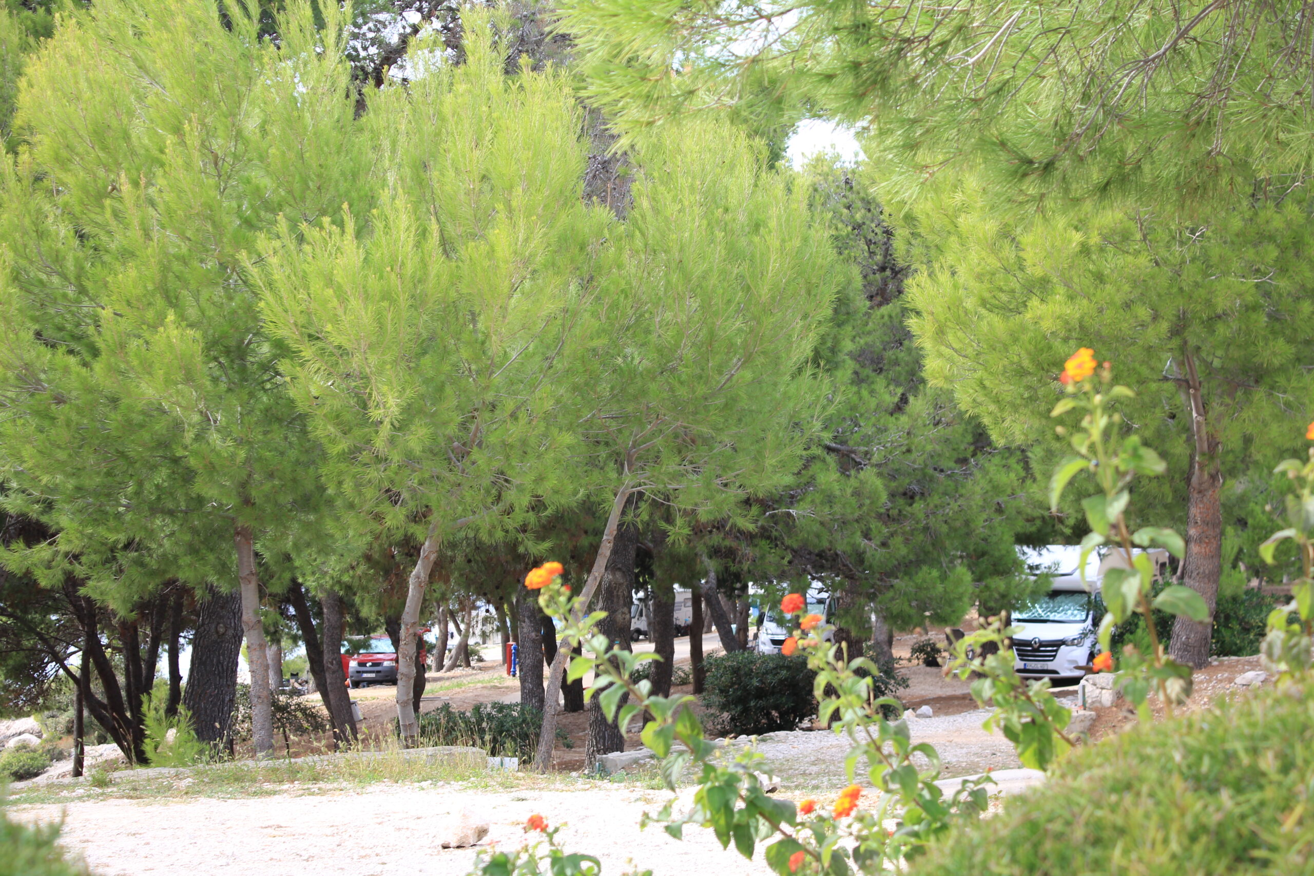 IMG_2265 (1) 7 IMG 2265 1 scaled - Adriatik Kamp