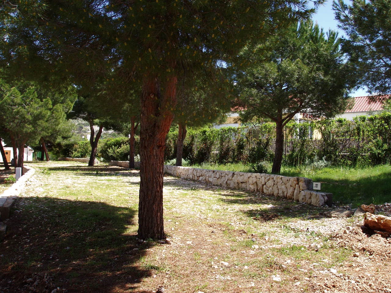 standard s pogledom na kamp glavna - Adriatik Kamp