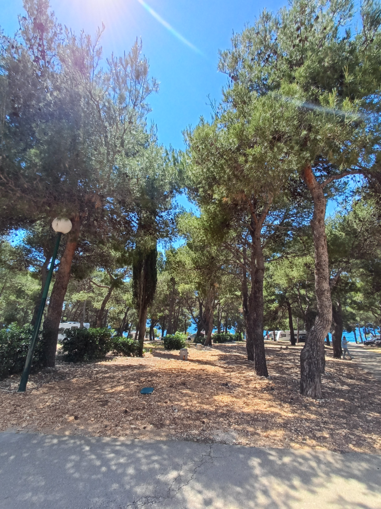 197 - Adriatik Kamp