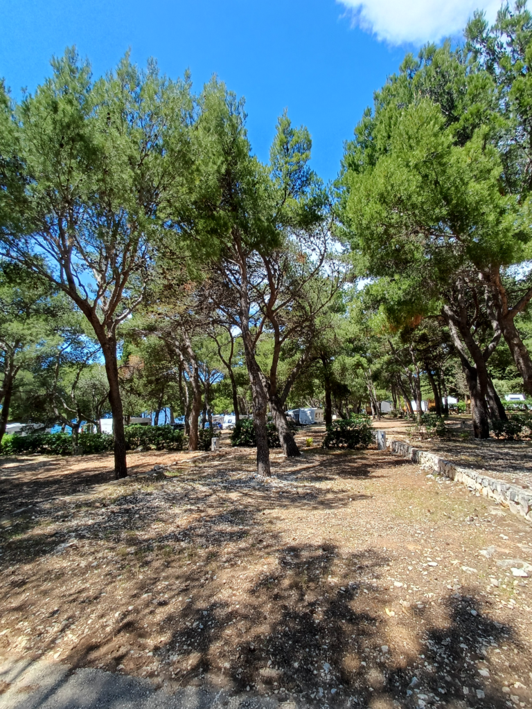 209 - Adriatik Kamp
